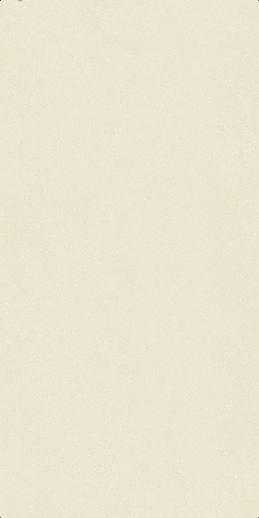 Oyster White - 图片 1