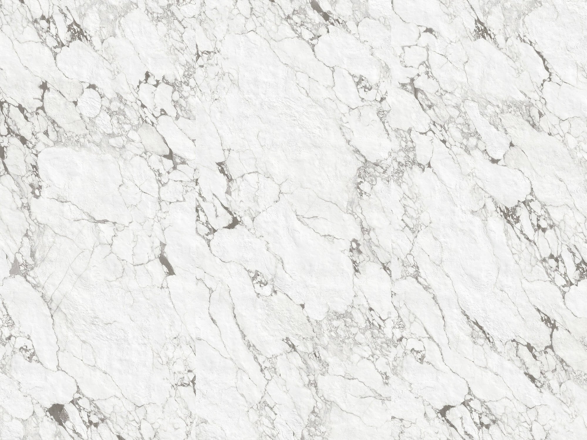 Rose Bvlgari White - 图片 1