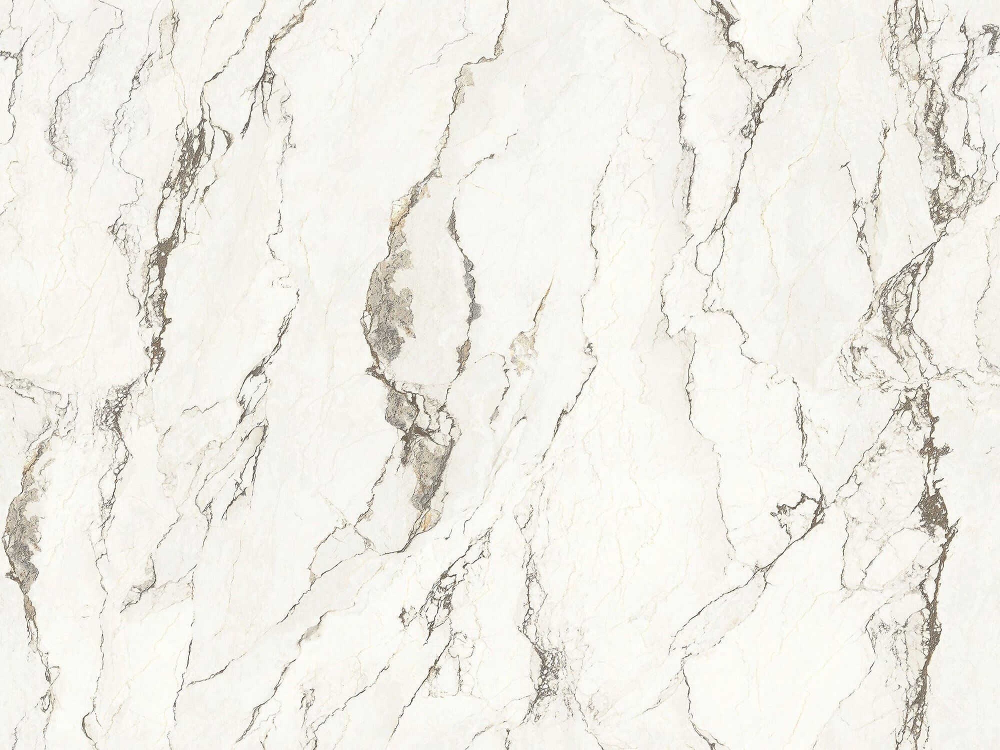 Picasso White