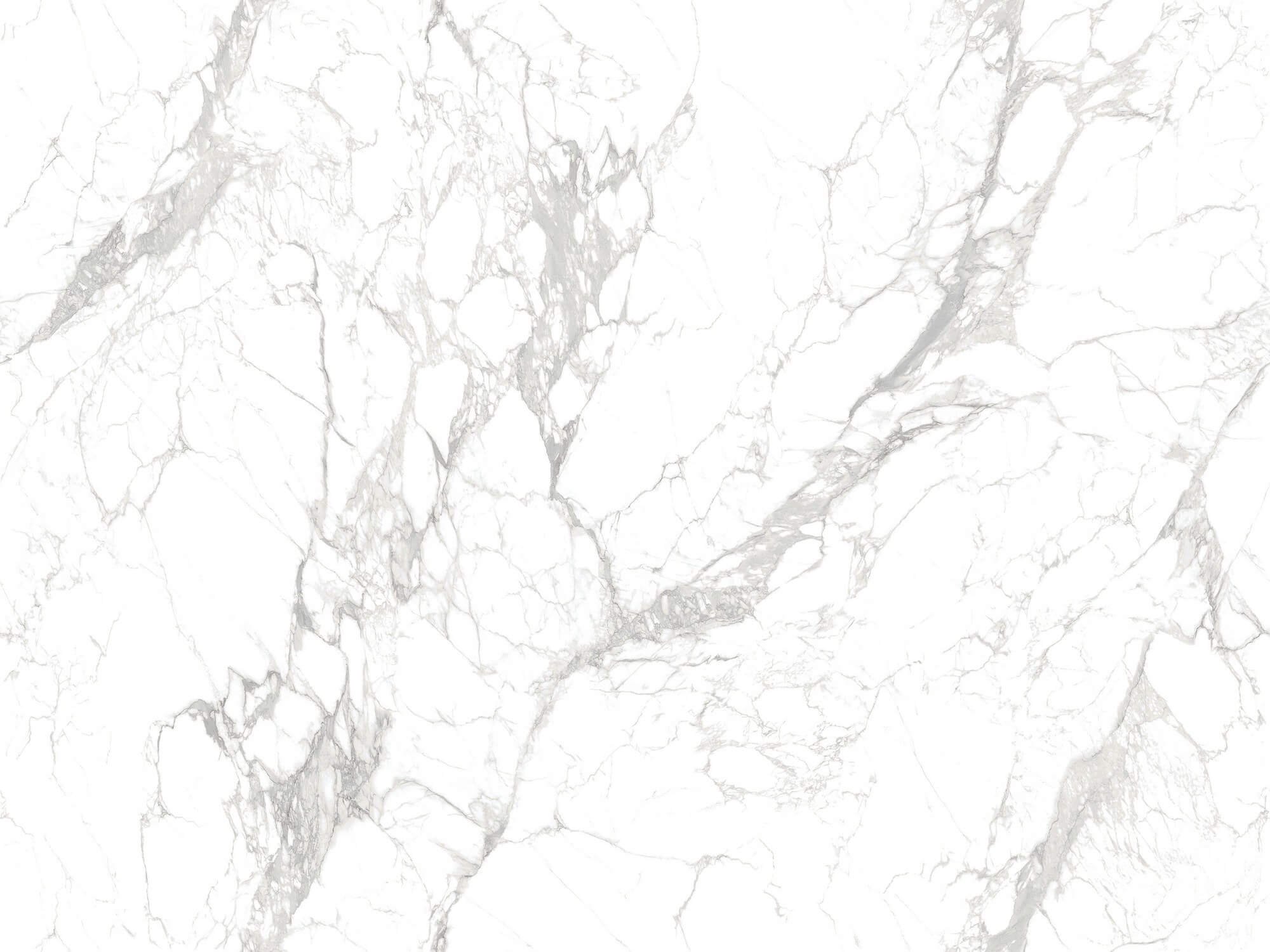 Elegant White II