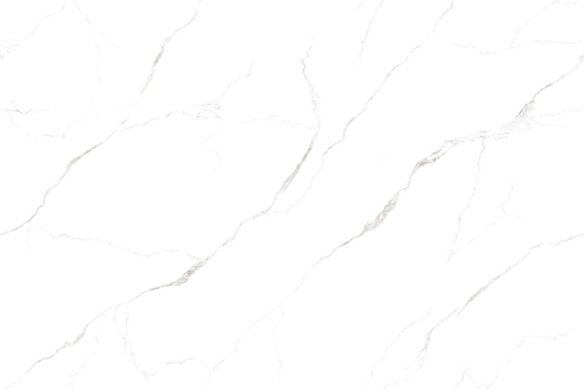 Calacatta White - 图片 1