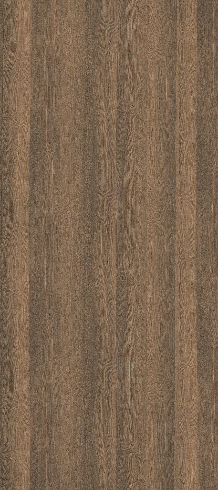 American Black Walnut sintered stone detail