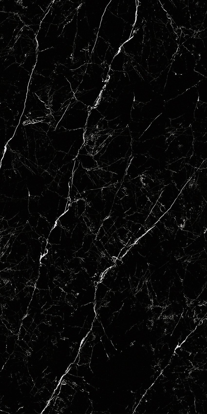 Shakespeare Black