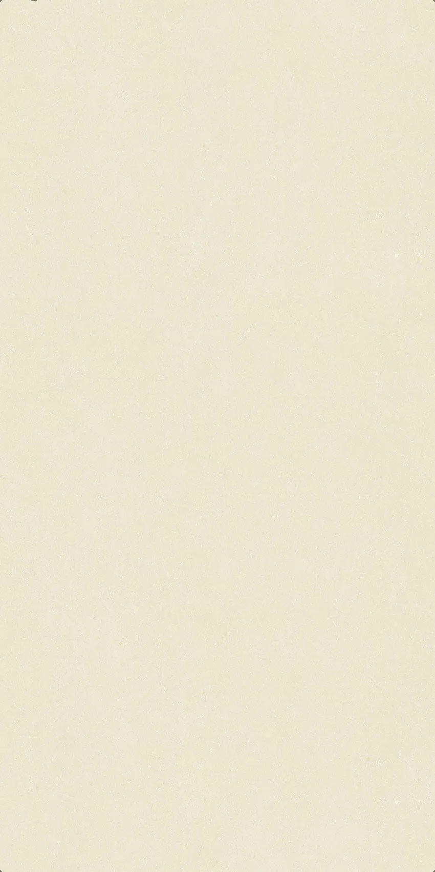 Oyster White