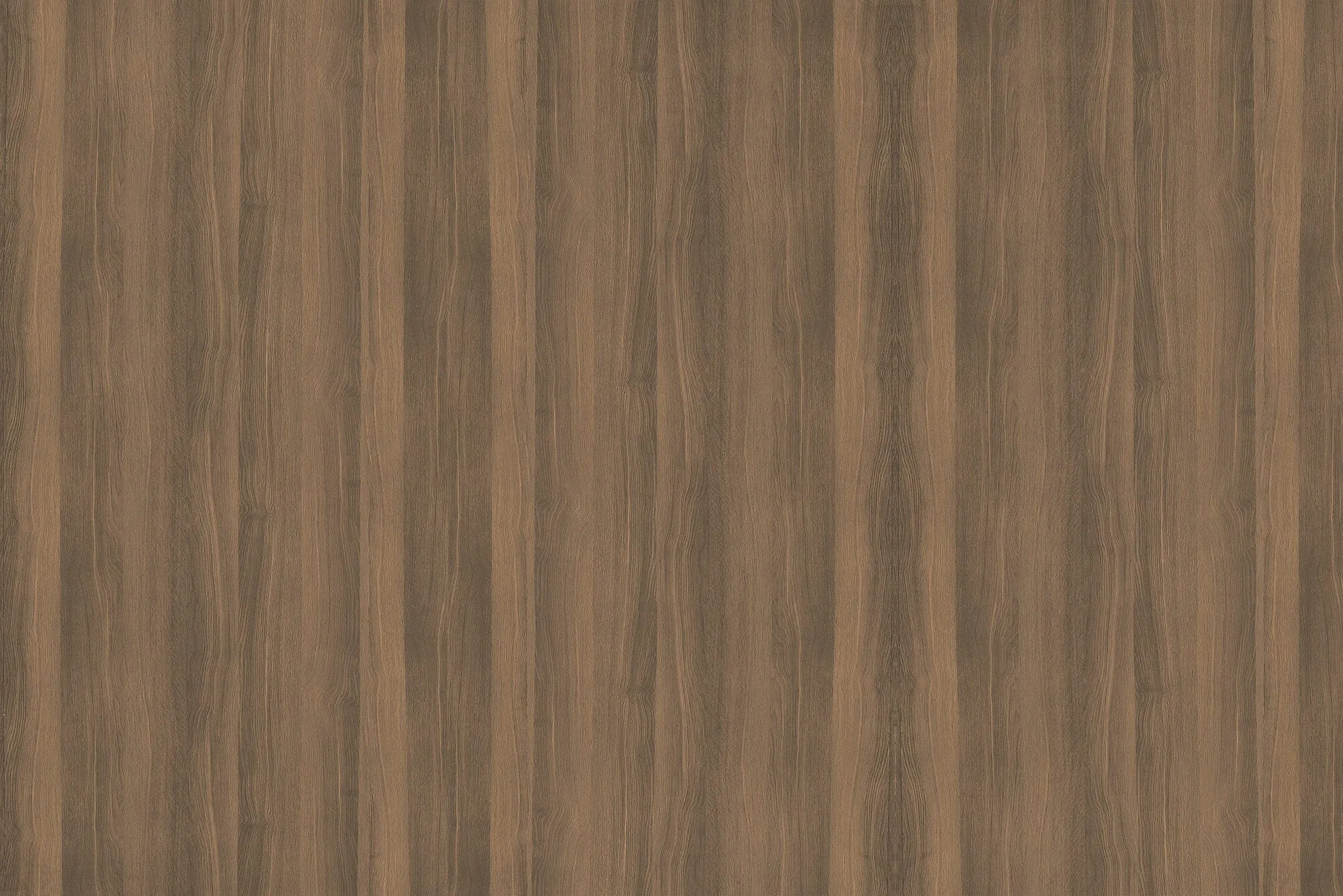 American Black Walnut