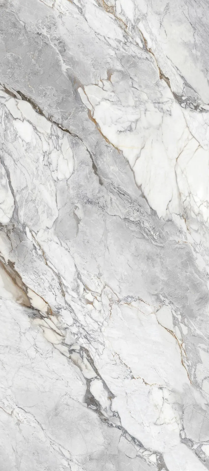 Famu Grey