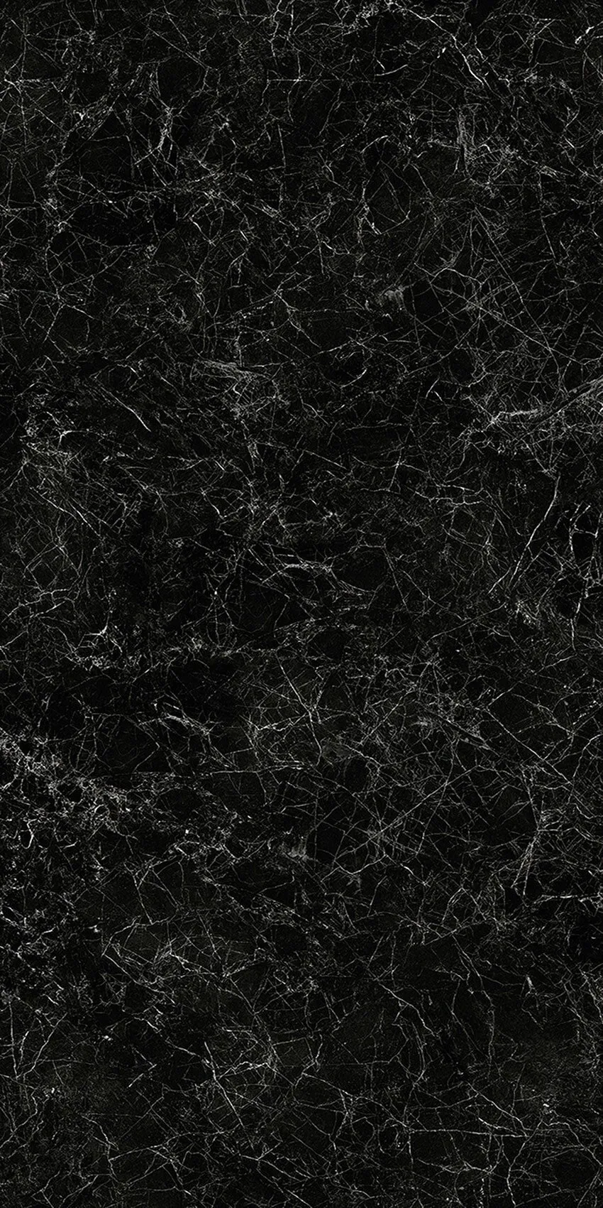 Nero Marquina Veined