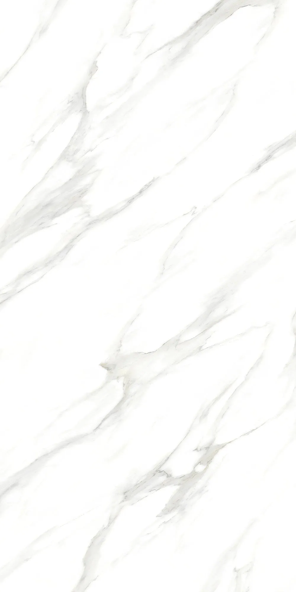 Carrara White