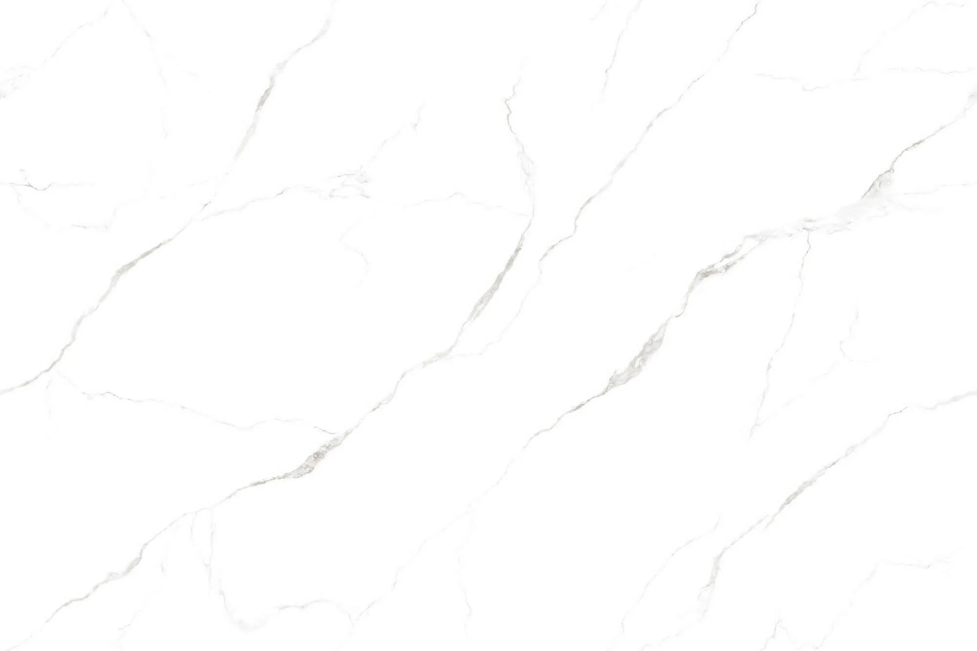 Calacatta White