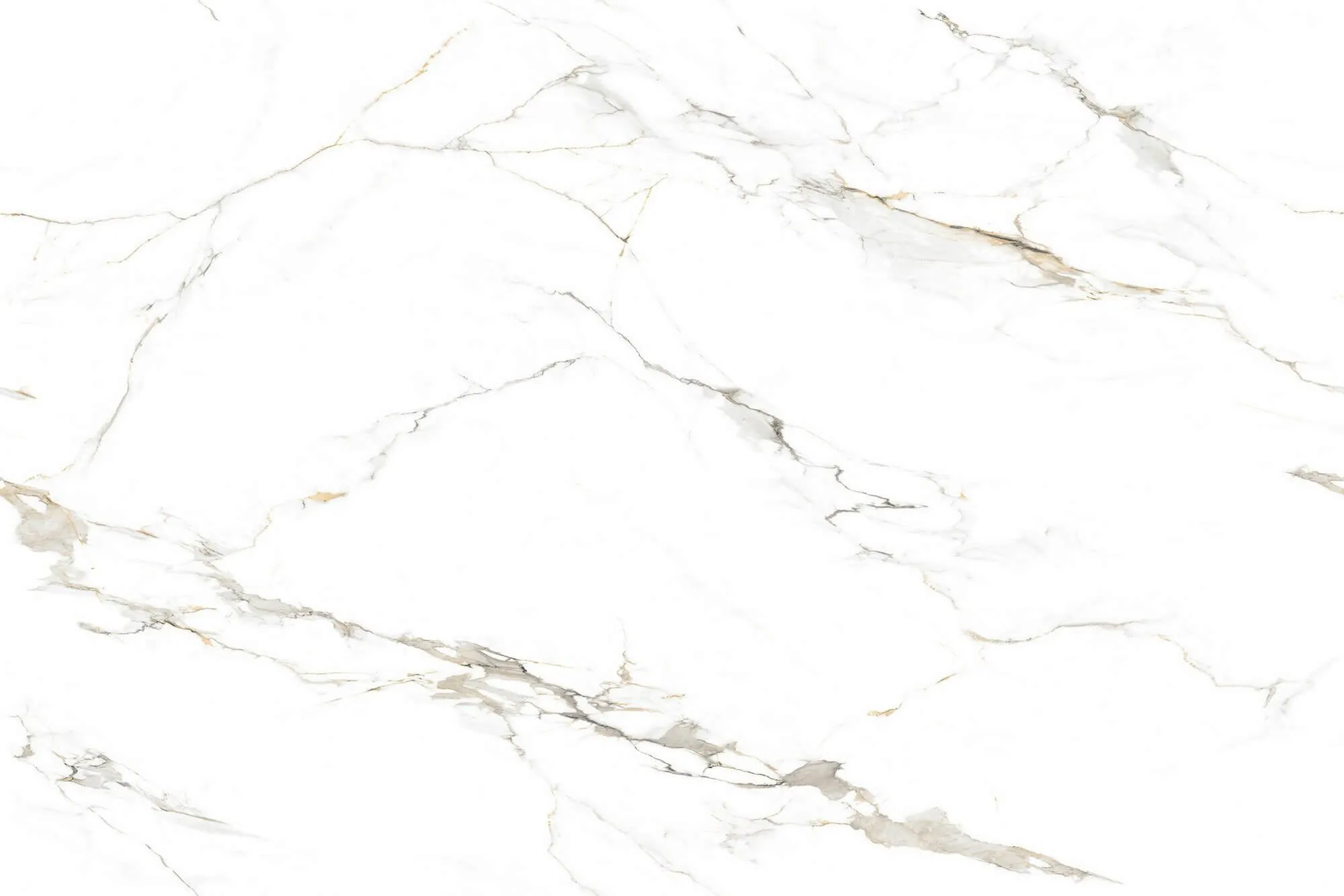 Bergamo White