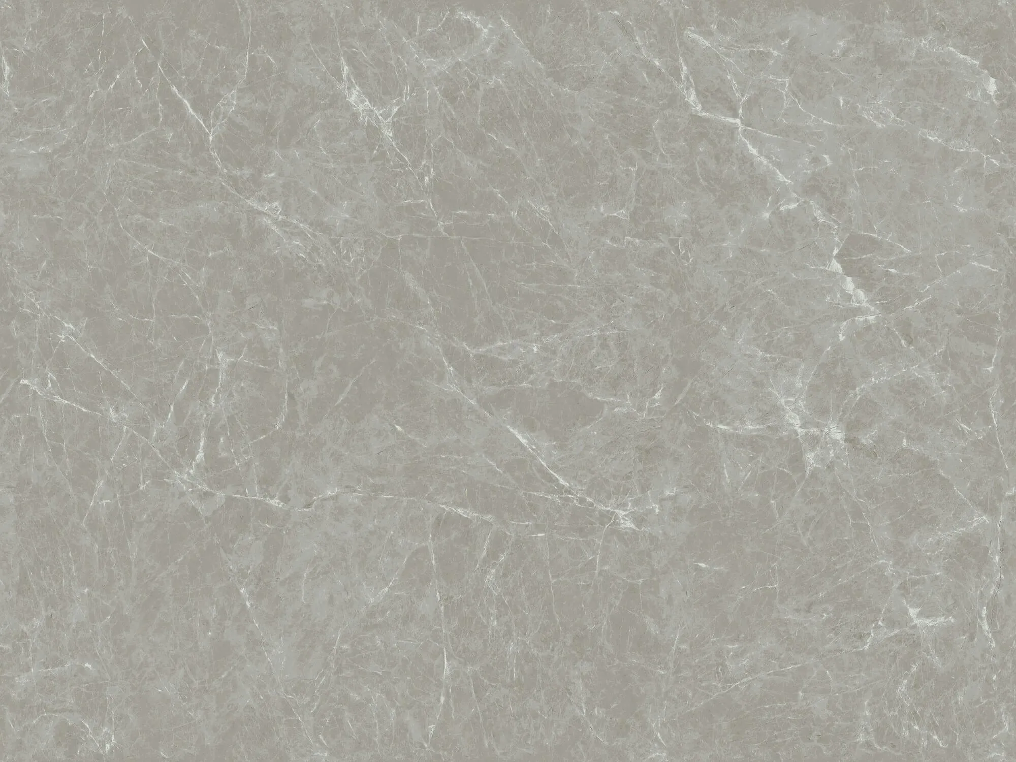 Gris Angola