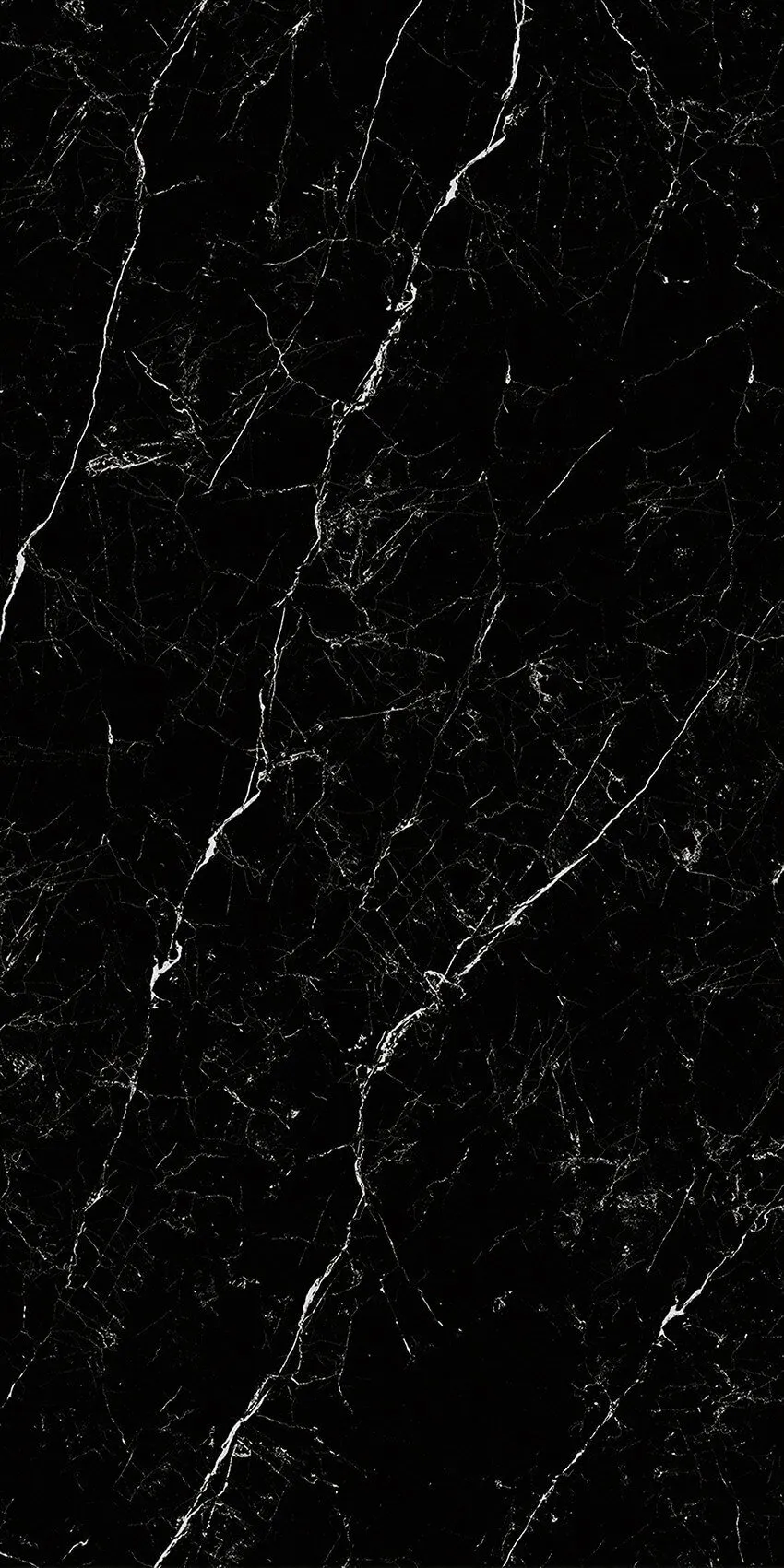 Shakespeare Black